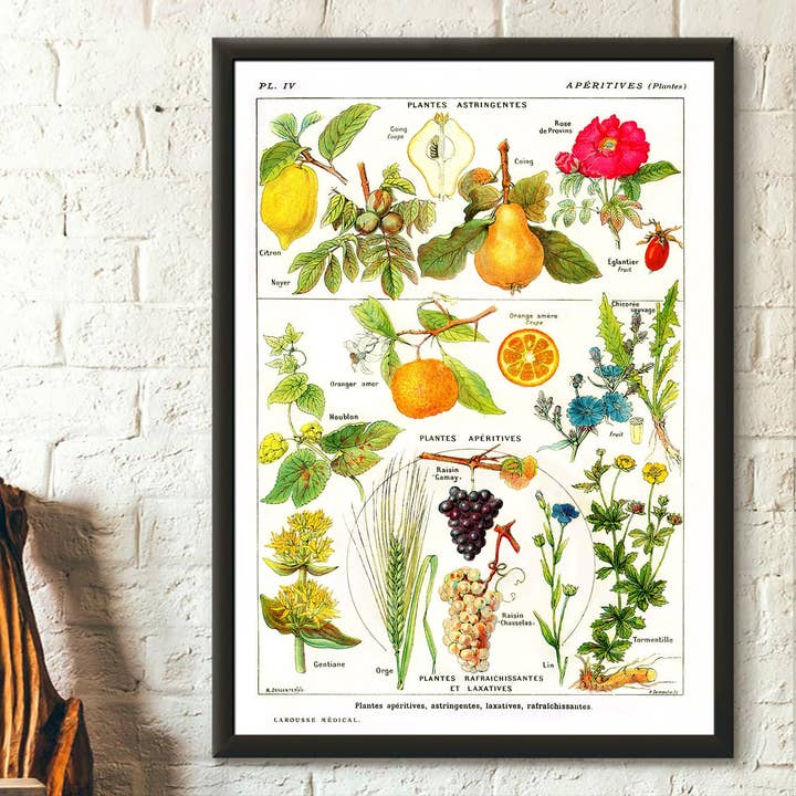 Vintage Botanical Appetizer Plant Kitchen Wall Art Decor for wholesale by Vintage Wall Graphics