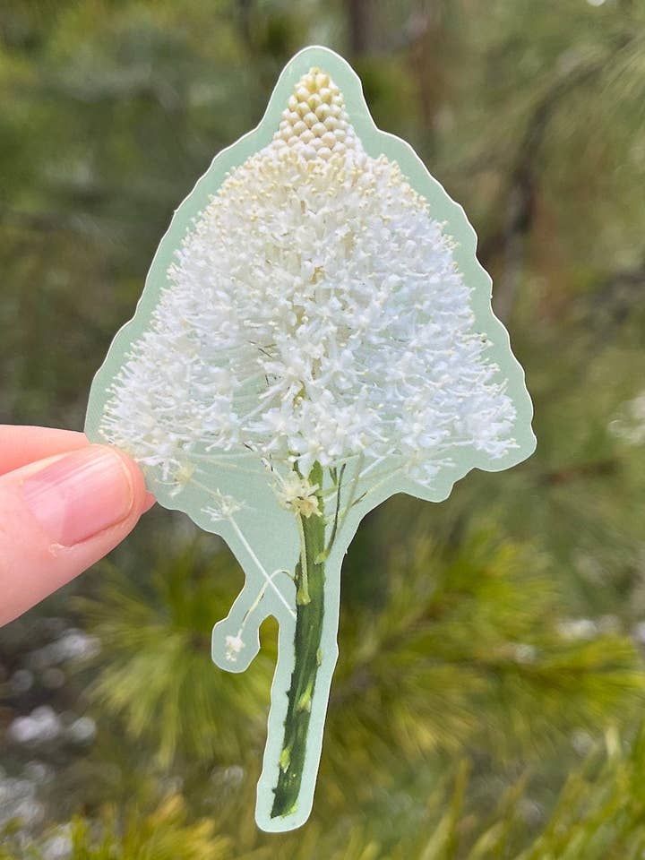 Sticker Oregon Bear Grass voor wholesale door Stick Outside