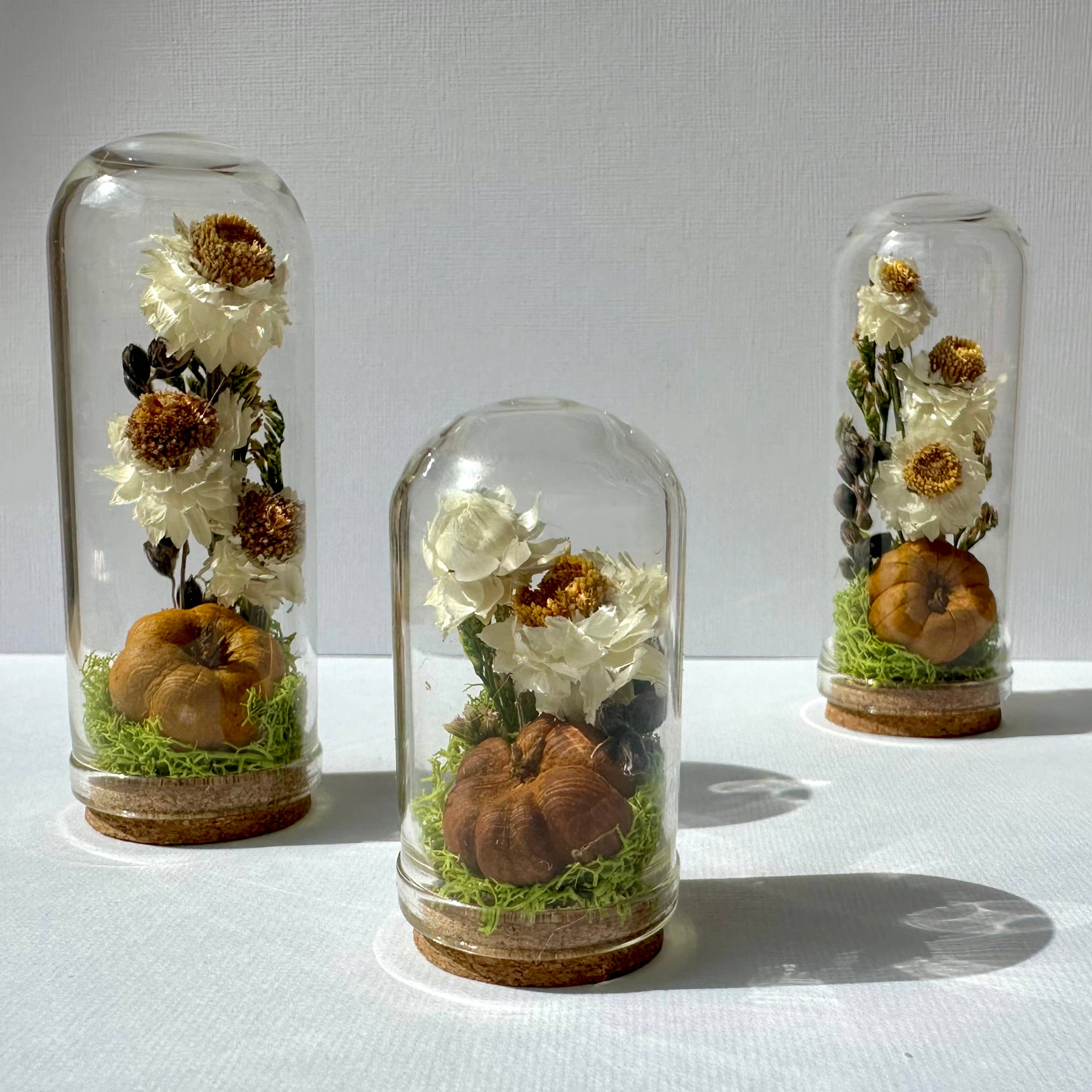 CA Studios - Wholesale Terrarium - Pumpkin Mix Mini Terrarium Potion Jar w Dried Florals7