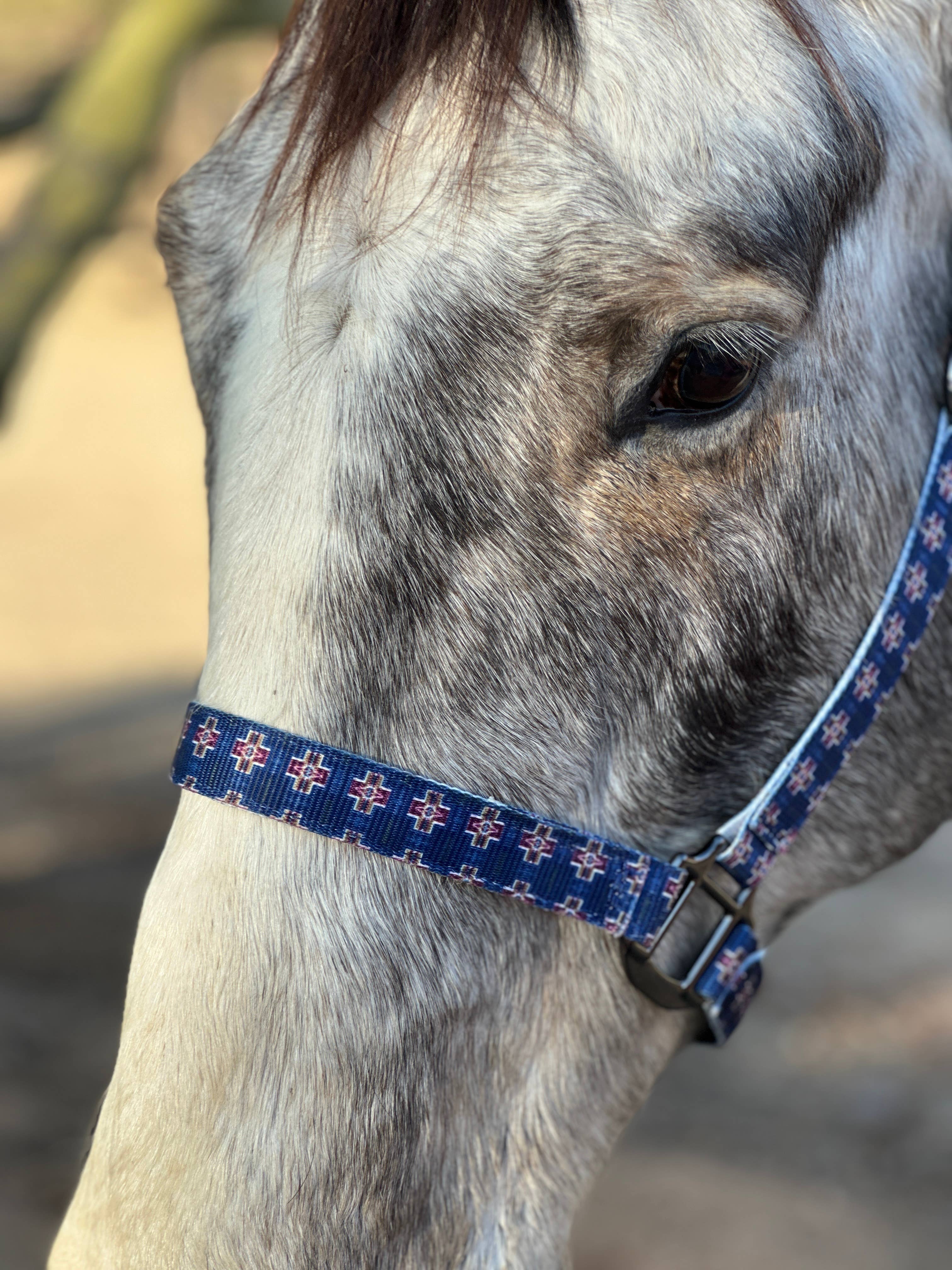 Schulz Equine - Wholesale Horseback Riding Gear - Nylon Halter - Horse Size21