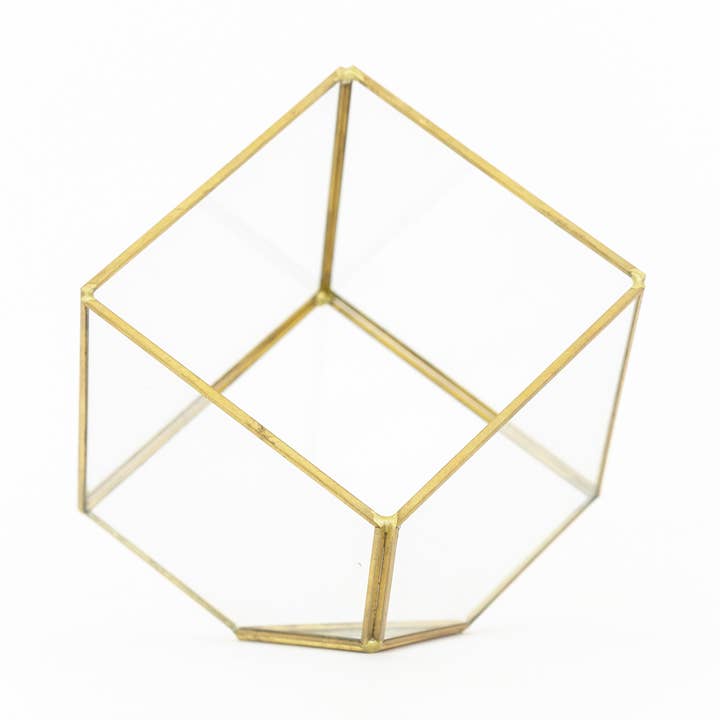Heptahedron Geometric Glass Terrarium for wholesale by Air Plant Shop