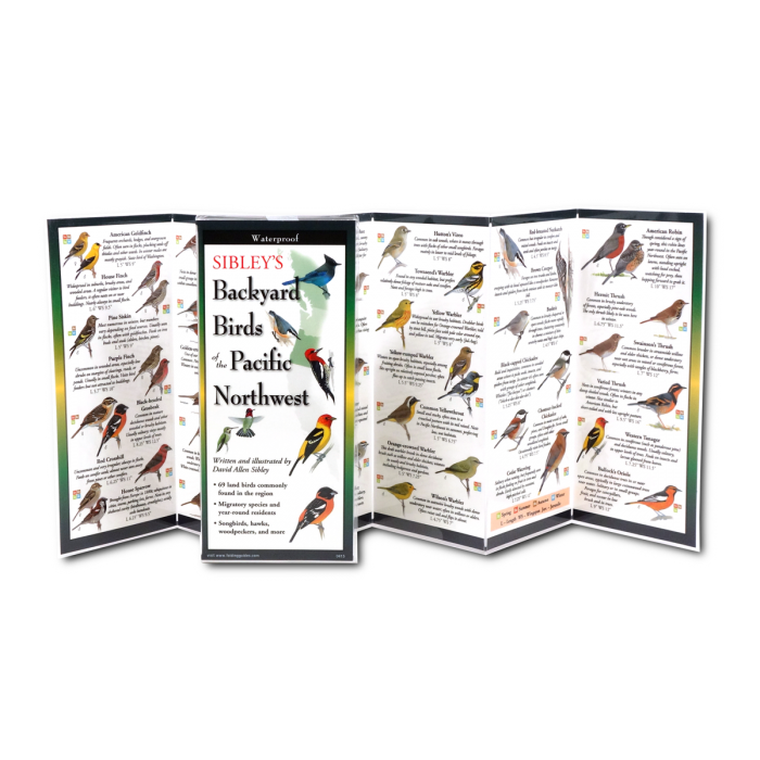 Earth Sky + Water - Wholesale Nature & Outdoors Book - Sibley's Backyard Birds of Pacific Northwest1