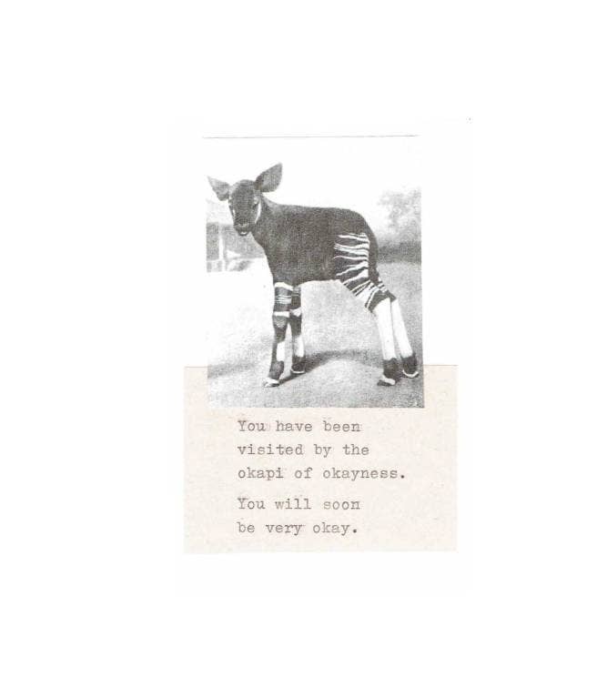 BlueSpecsStudio - Wholesale Beterschapskaartje - Okapi Of Okayness Card | Funny Get Well Soon Kaart Rare Dierenhumor1