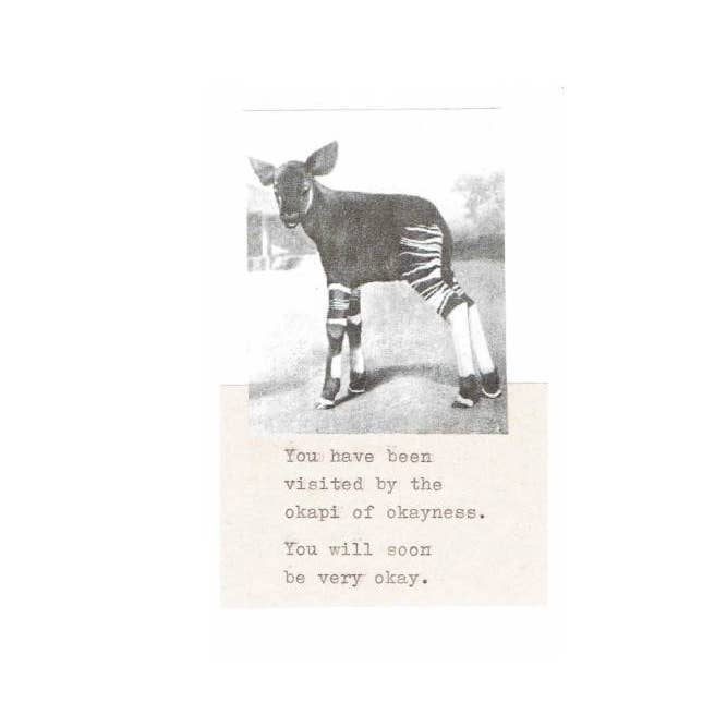 BlueSpecsStudio - Wholesale Beterschapskaartje - Okapi Of Okayness Card | Funny Get Well Soon Kaart Rare Dierenhumor1