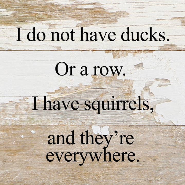 Second Nature by Hand - Wholesale Sign - I do not have ducks. Or a row. I have squirrels, and they're everywhere. / 6"x6" Reclaimed Wood Sign