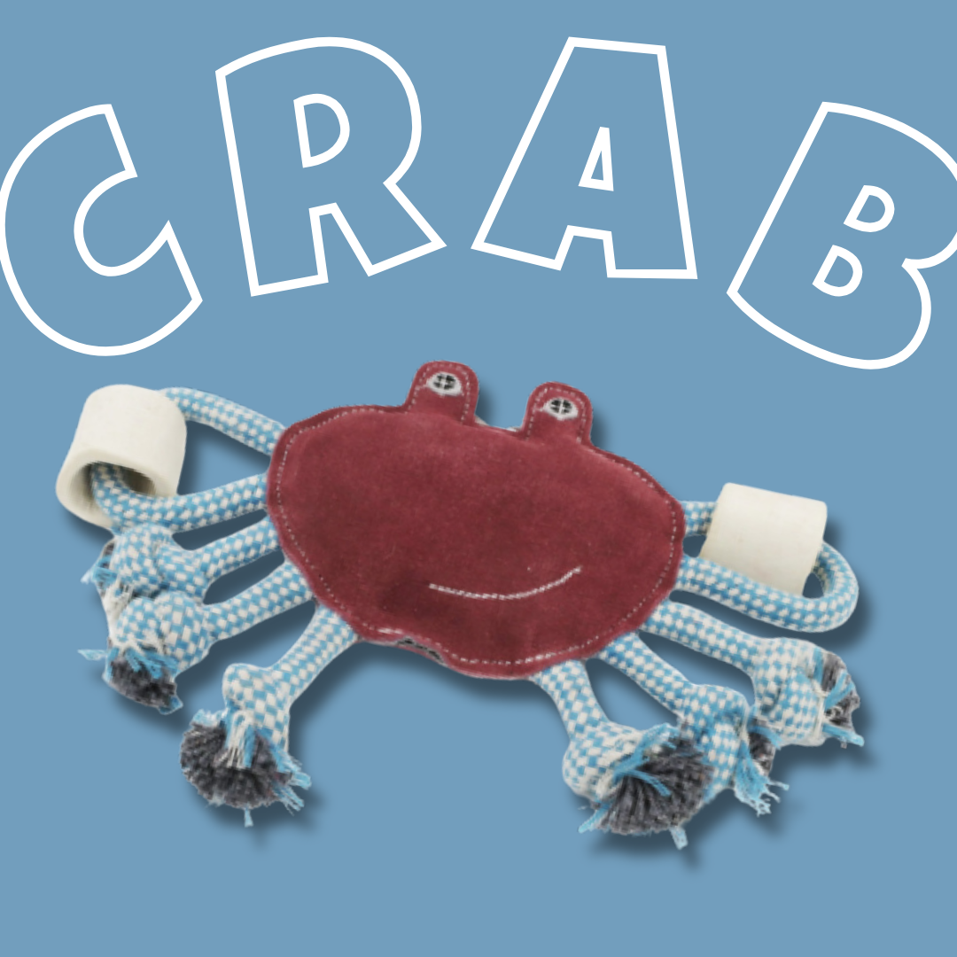 Advance Pet Products - Wholesale Pet Rope Toy - Dog - Rope and Bone Toy: Octopus and Crab tug and chew toys made w2