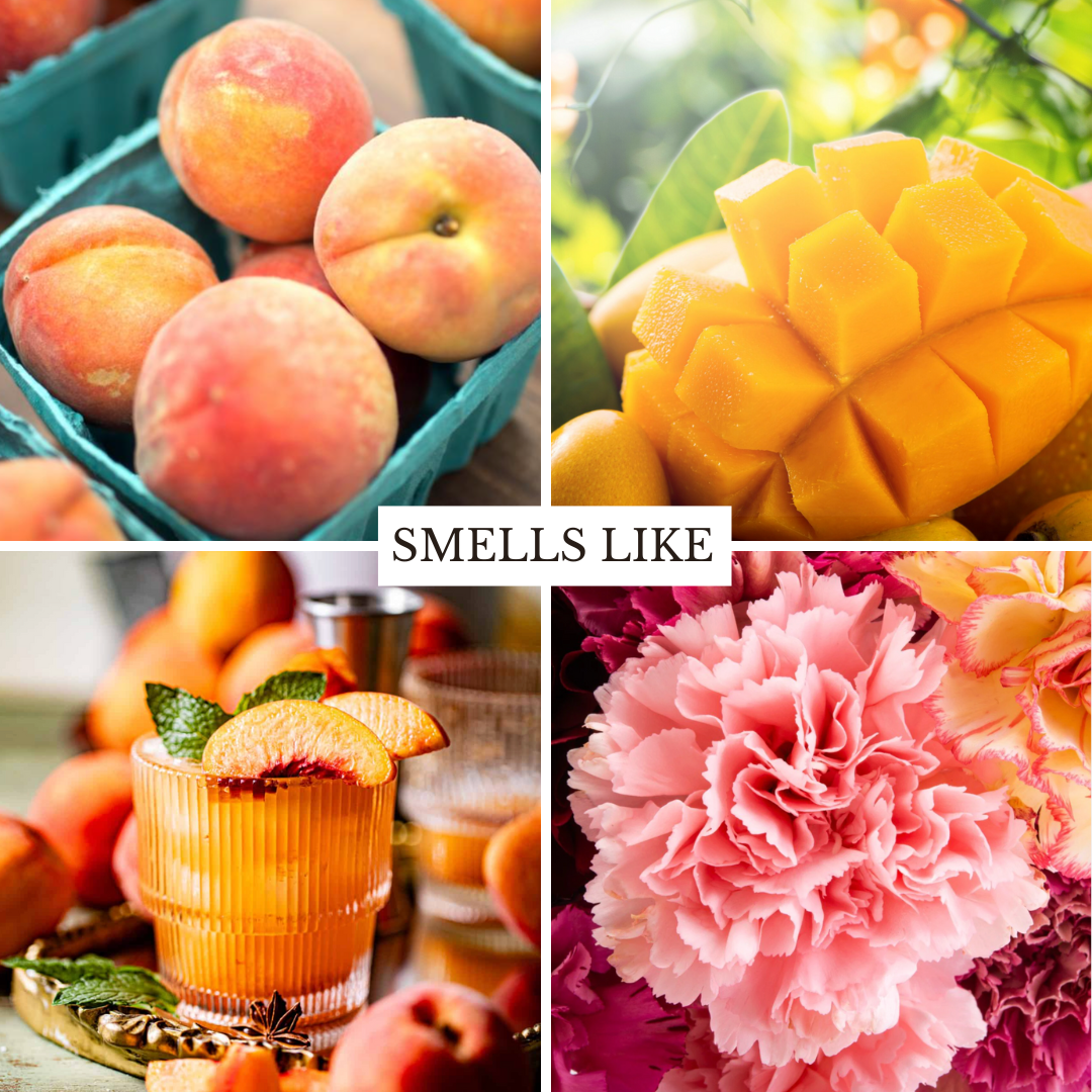 Kindred Candle - Wholesale Jar/Filled Candle - Georgia Peach 16 oz1