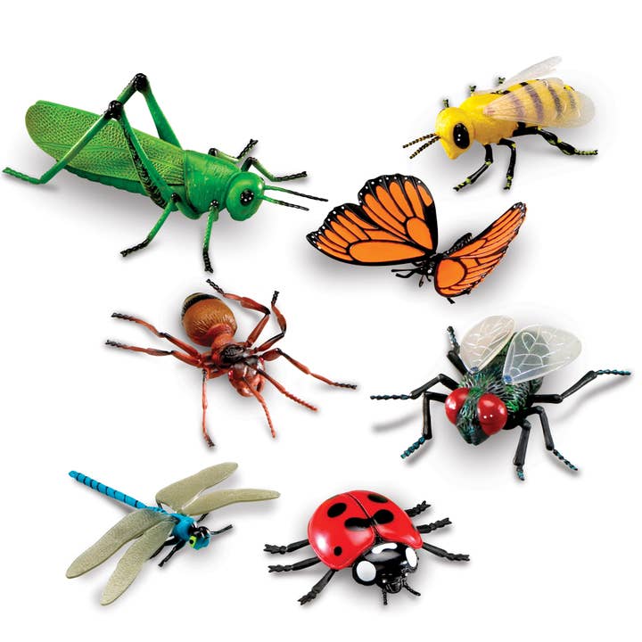 Learning Resources - Wholesale Toy Set - Kids - Jumbo Insects2