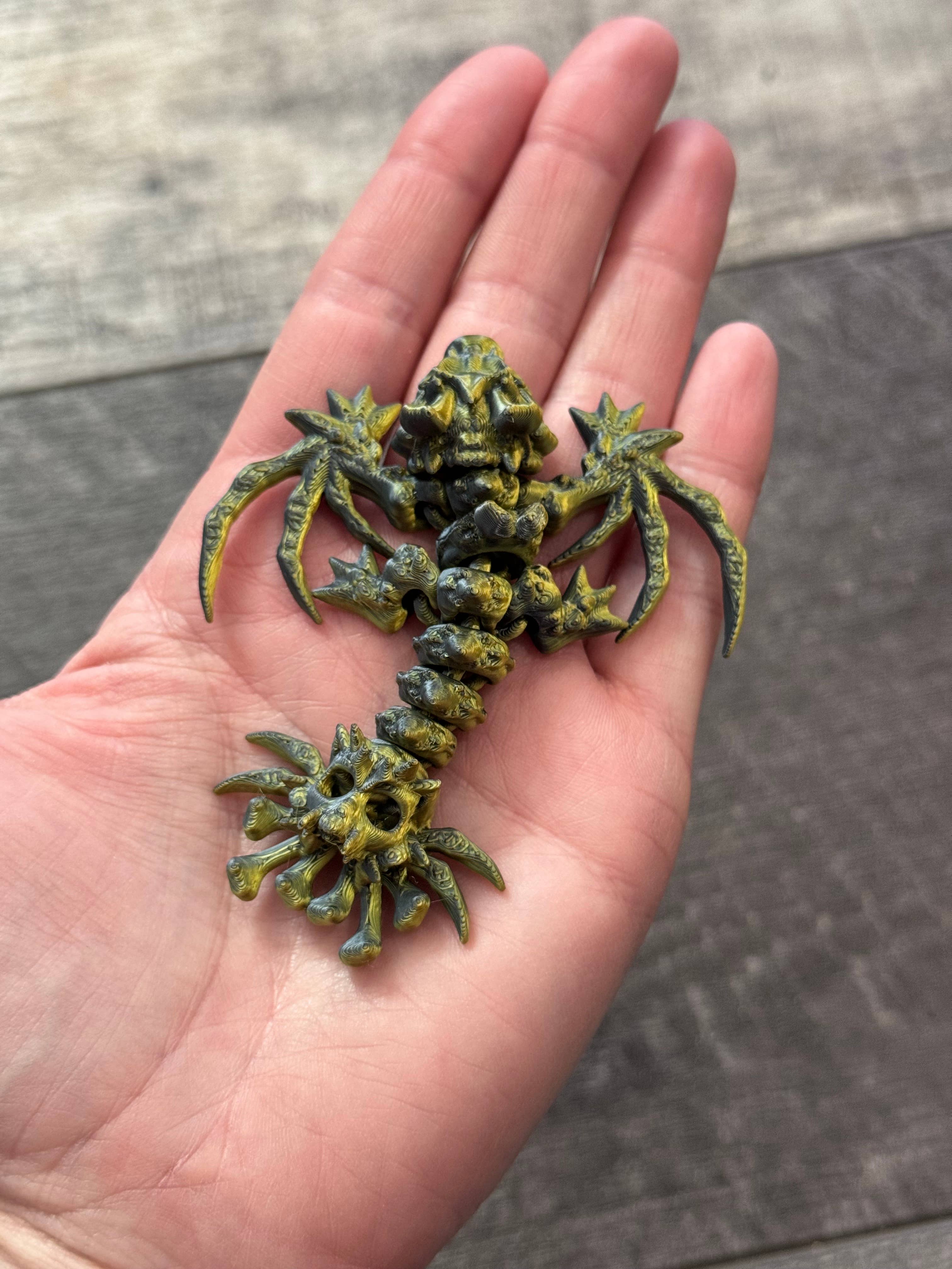 LNZ Custom Design - Vendita all'ingrosso Giocattolo fidget - Bambini - Confezione da 5 Wyvern Variety - Wyvern Dragons stampati in 3D14