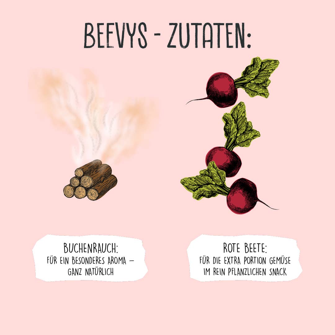 VEGDOG - Wholesale Pet Treats - Dog - BEEVYS 80 g8