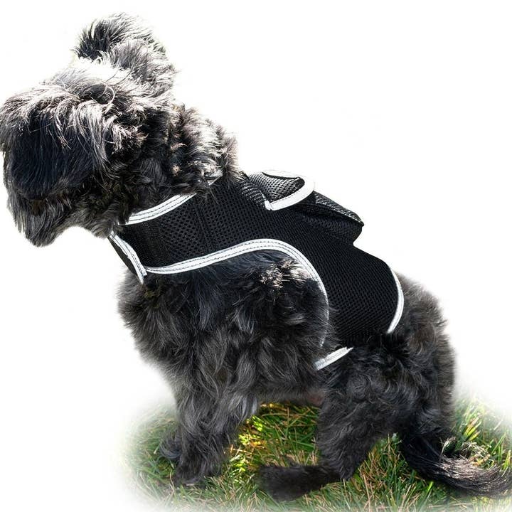 Breathe Easy Infusion LLC - Wholesale Pet Collar - Cat/Dog - Collar Mounted Realtime Pet Locator GPS Portable Rechargeable Tracker Size:L16