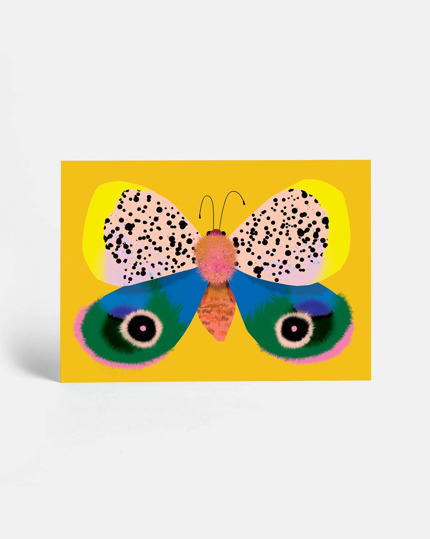 Sunny Beast - Venta al por mayor Juego de postales - 20 postales | Set en caja25