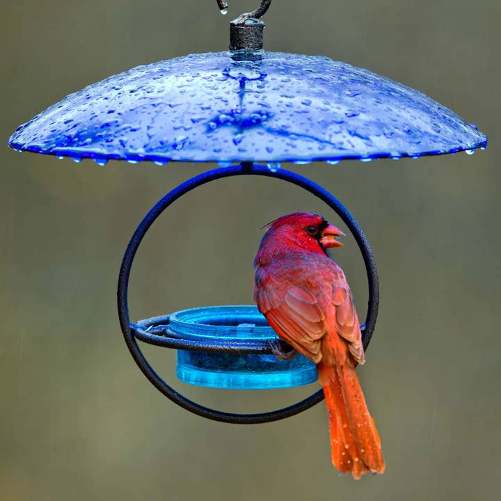 Mosaic Birds Petite Glass Baffle Dome Cobalt for wholesale by Couronne Co.