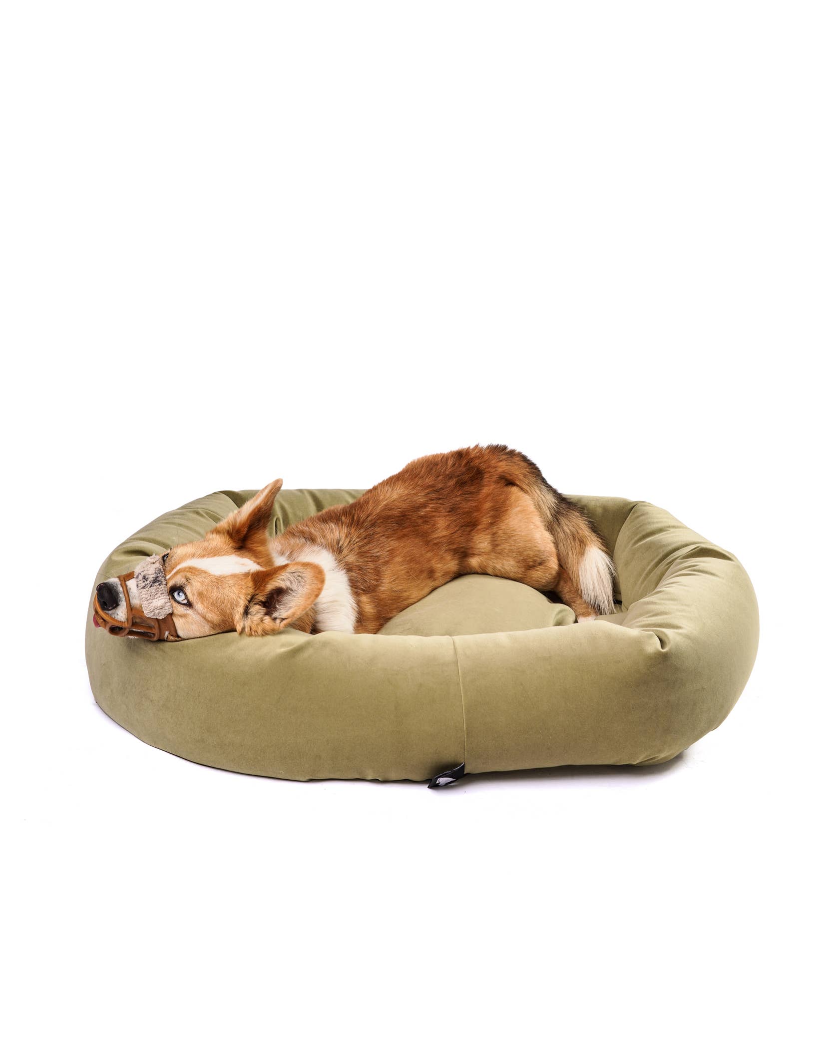 Roxbury PET - Vente Panier – chien - Le lit rond The Robertson9