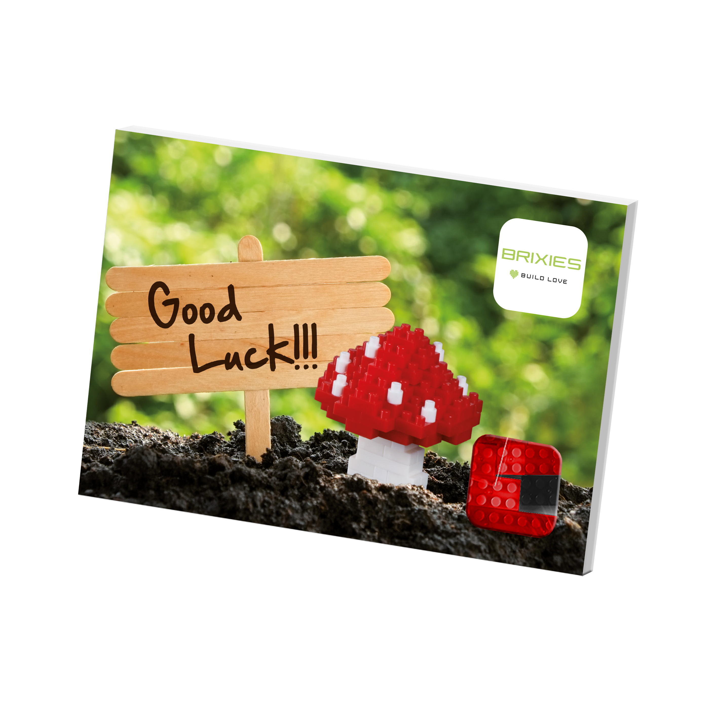 Brixies - Wholesale Build-a-Toy - Kids - BRIXIES Lucky Postcard3