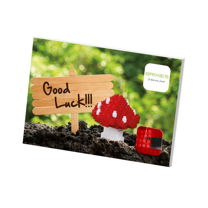 Brixies - Wholesale Build-a-Toy - Kids - BRIXIES Lucky Postcard3