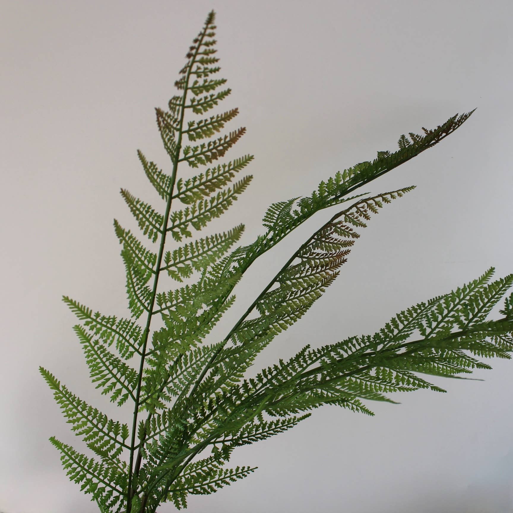 ACNITE(We cover U.S. import duties) - Wholesale Artificial plant - Artificial Fern leaves for vase filler large green branches4