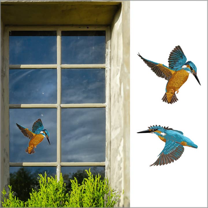 MYRTE - Wholesale Wall Decal/Stickers - Kingfisher Double-sided Window Sticker