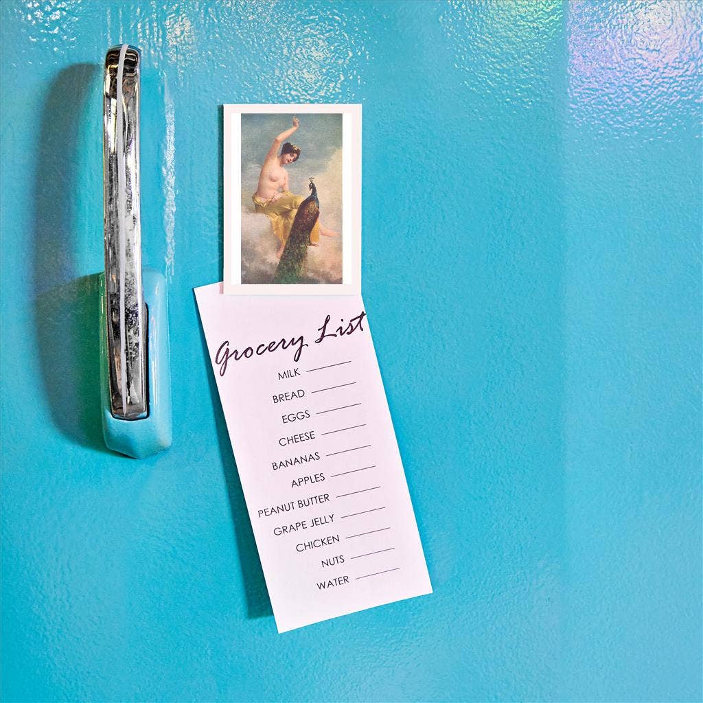 Found Image Press - Wholesale Magnet - Magnet BD-519 Juno and Peacock1