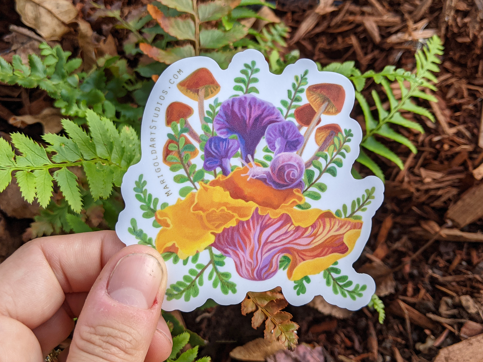 Marigold Art Studios - Wholesale Sticker - Chanterelle Mushroom & Cute Snail Sticker1