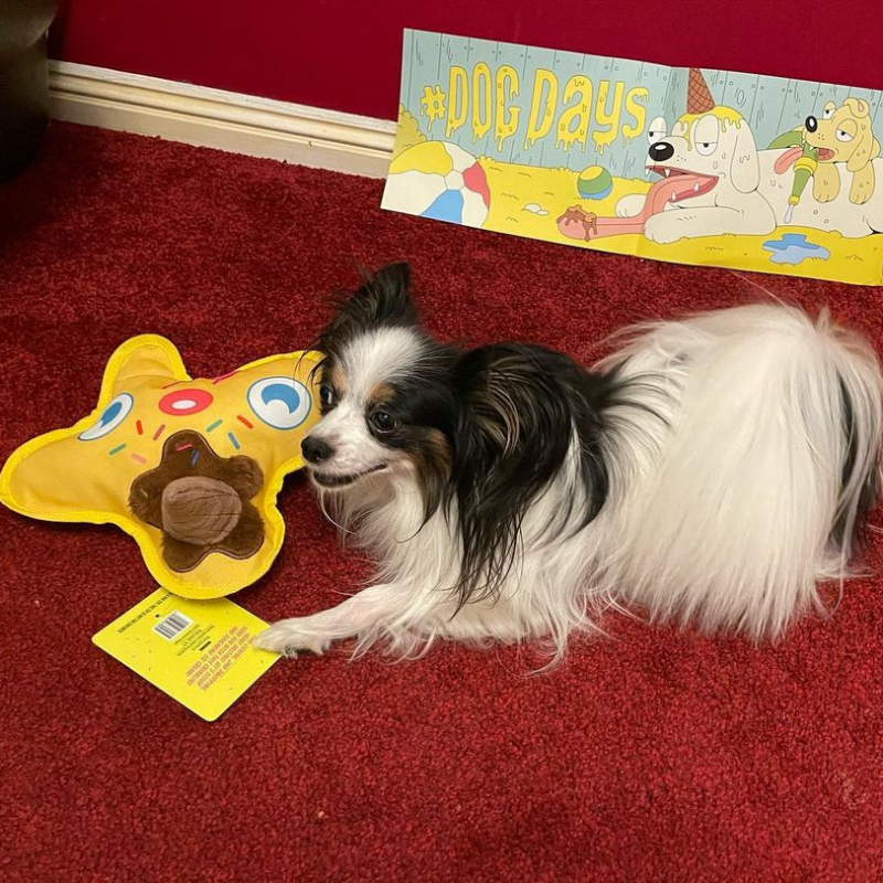 WufWuf - Vente Jouet couineur – chien - Jouet en peluche WufWuf Scoopy Boo Melting Ice Creaky2