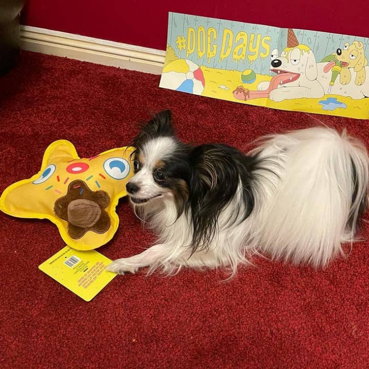 WufWuf – Squeaky Toy - Cão por atacado – Brinquedo de pelúcia WufWUF Scoopy Boo Derretimento de Gelado Squeaky2