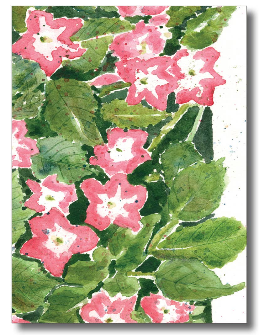 WORDS & WATERCOLORS BY PEG CONLEY - Wholesale Birthday Card - Pink Impatiens - Birthday0