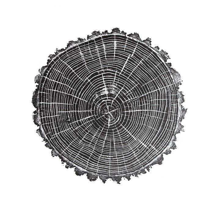 HVRNT Studio - Venta al por mayor Ilustración - Lámina de árbol «American Elm» - Xilografía