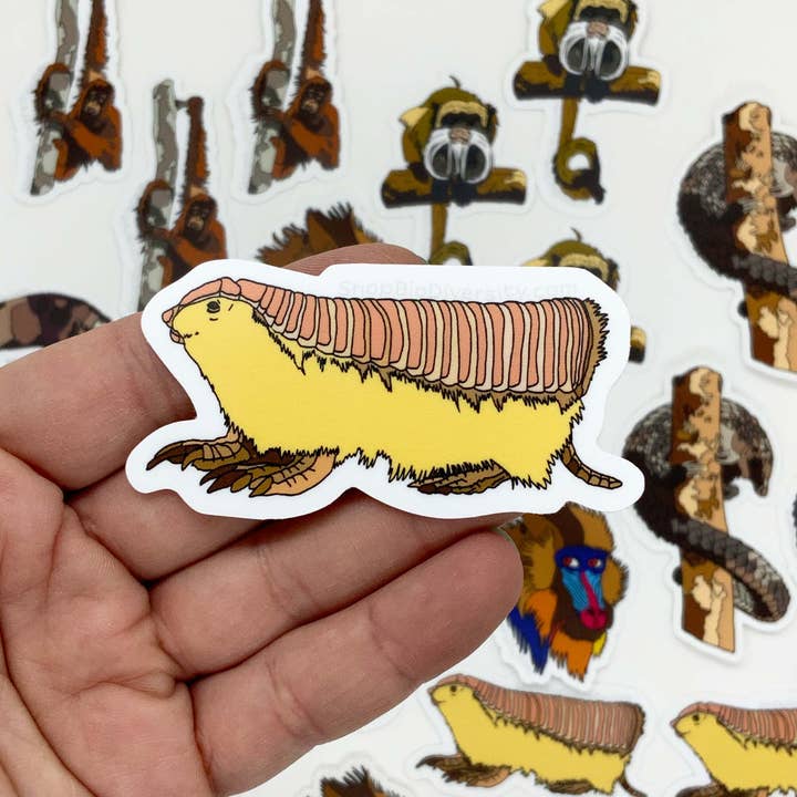 Shop BioDiversity - Wholesale Sticker - Pink Fairy Armadillo Vinyl Sticker - Cute Animal Decal