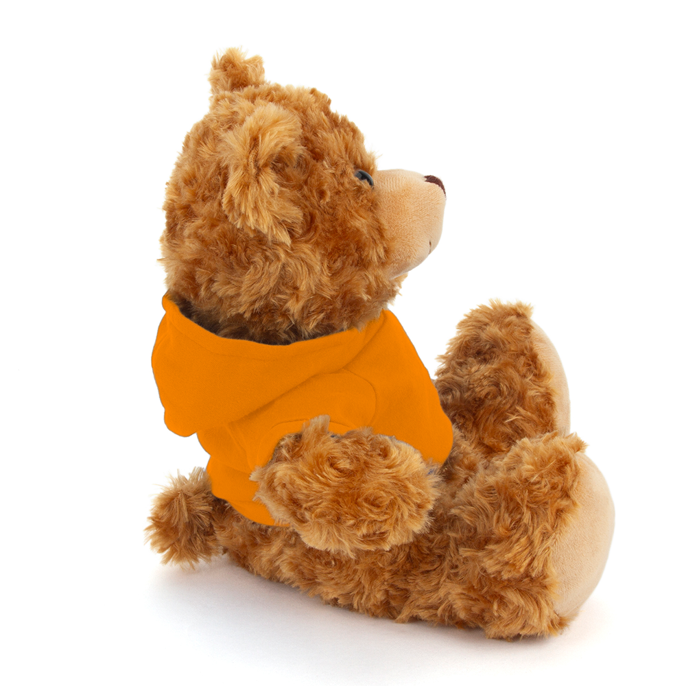 Plushland – wholesale Stuffed/plush toy – Kids & baby – 11" Personalized Teddy Bear in Hoodie | Custom Sitting Bear27
