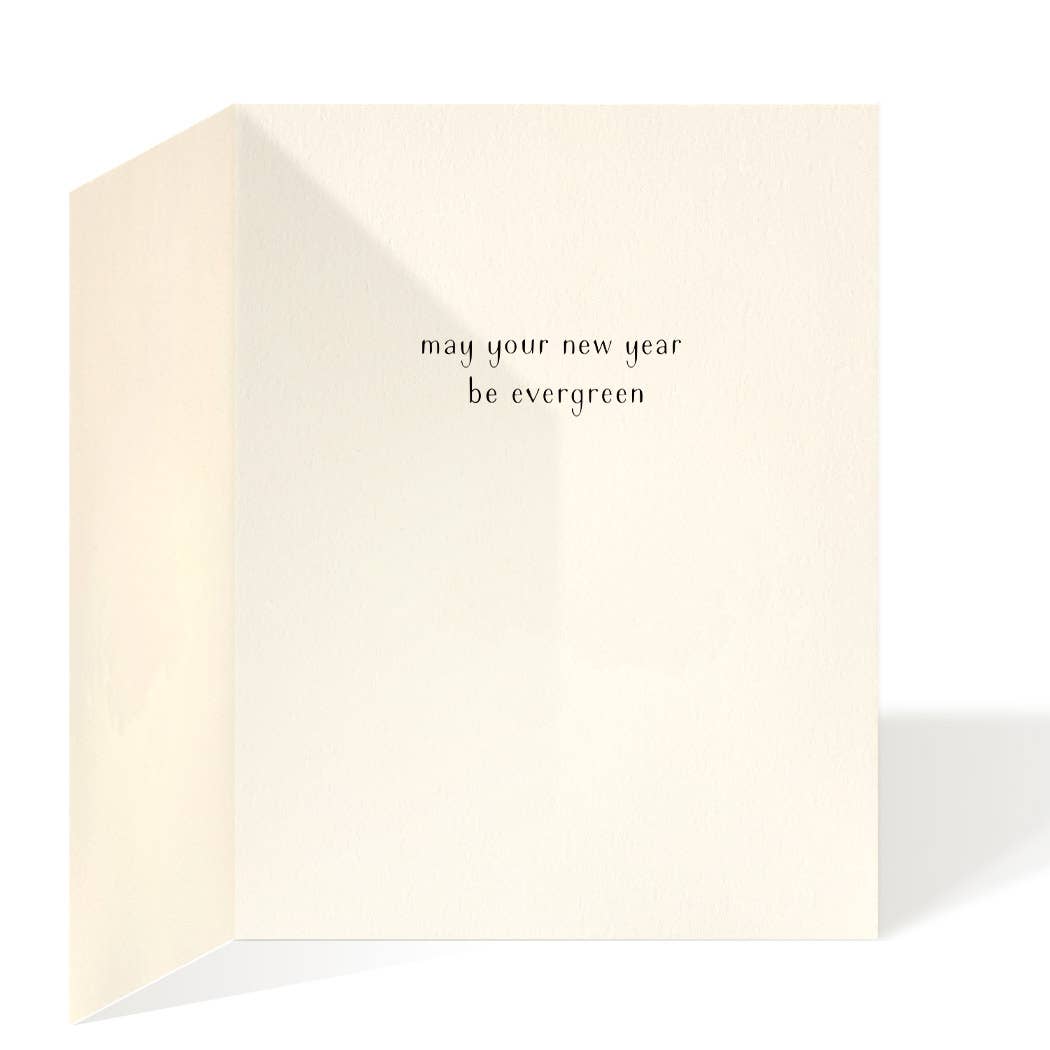 Felix Doolittle - Wholesale Season's Greetings Card - Cardinal and Evergreen - Holiday Christmas Cards1