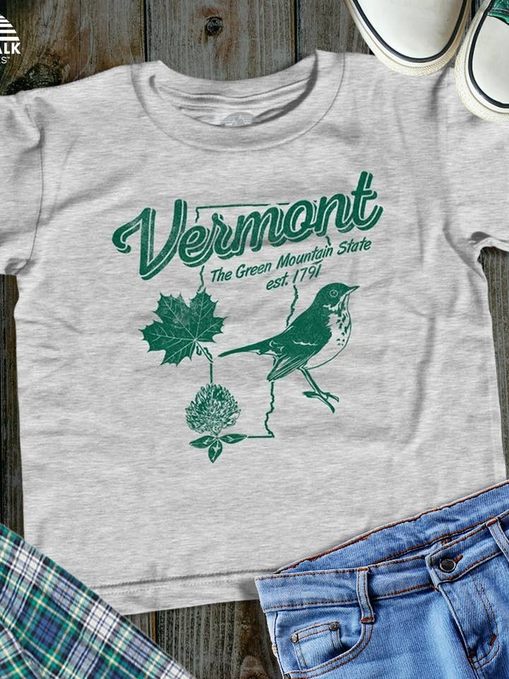 Youth Vintage Vermont T-Shirt for wholesale by Boredwalk