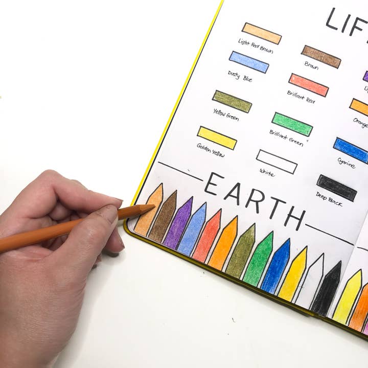 Life of Colour - Wholesale Colored Pencil - Woodless Pastel Pencils - Earth Colours - Set of 121