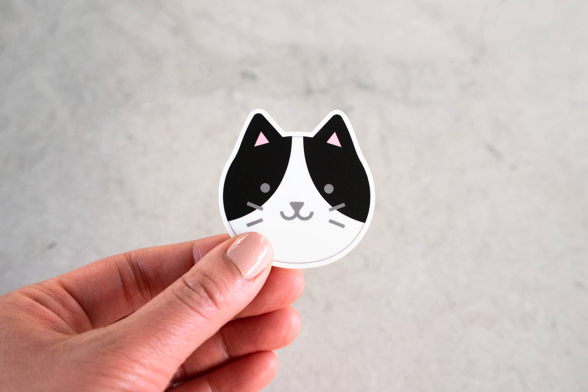 Everyday Olive - Wholesale Sticker - Kitty Face Stickers7