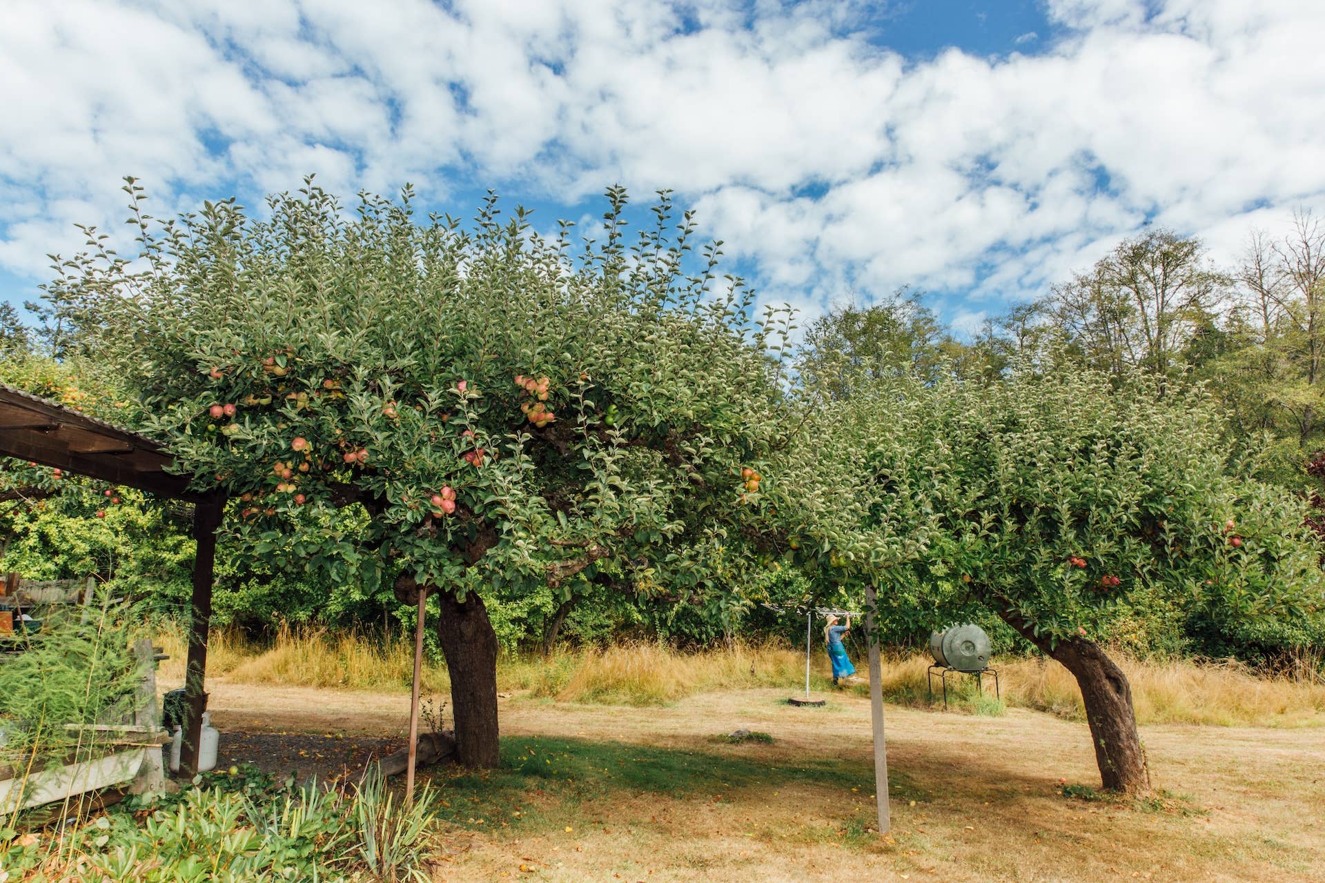 Girl Meets Dirt - Wholesale Preserves - Salted Apple Caramel Spoon Preserves 7.75oz2