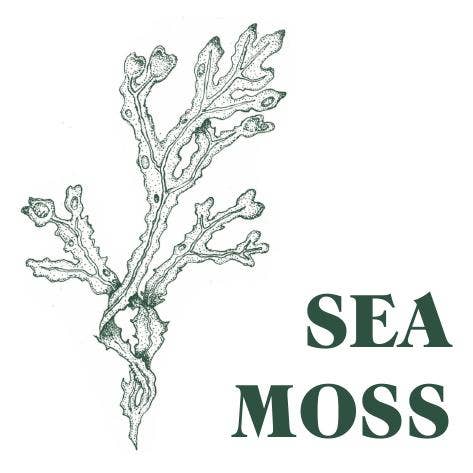 Heaven Scent Incense Ltd - Wholesale Reed Diffuser - NEW! Green Botanical Range 100ml Reed Diffuser - UK ONLY13