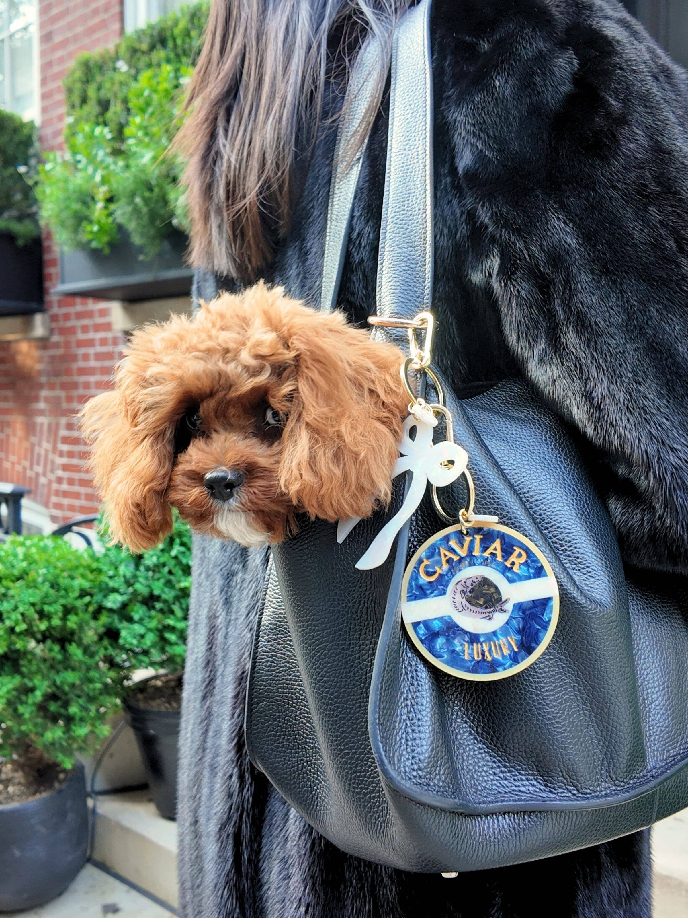 Solar Eclipse - Vente Porte-clés – femme - Porte-clés + Charme de Sac Caviar Peint à la Main4