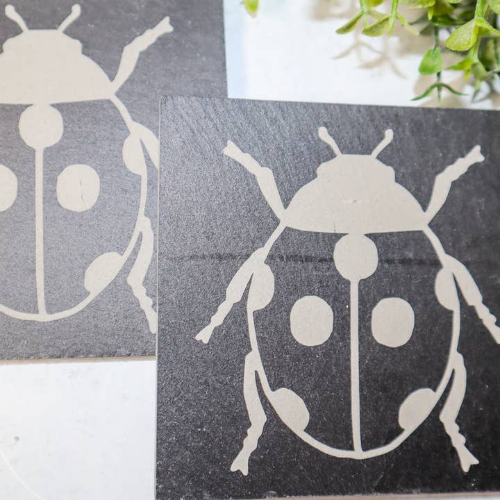 Bases para Copos em Ardósia com Padrão de Joaninha | Presente de Decoração de Cozinha por atacado de Becky Bug Designs