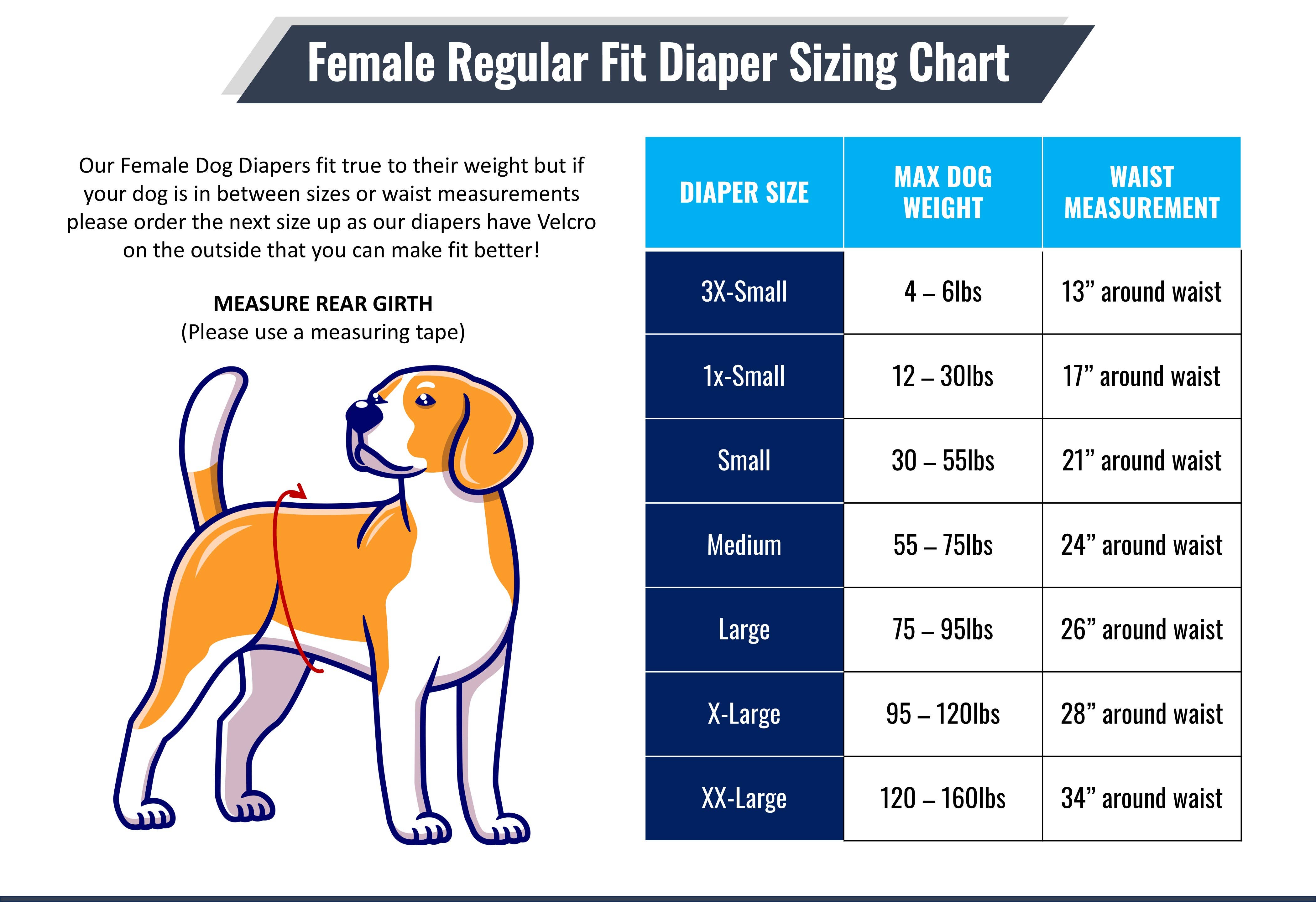 Jack & Jill Dog Diapers - Wholesale Pet Diaper - Dog - Female Dog Diaper-Britches With Tail Opening Black4