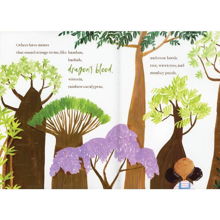 EDC Publishing - Wholesale Preschool Book (3-5) - Hello, Trees3