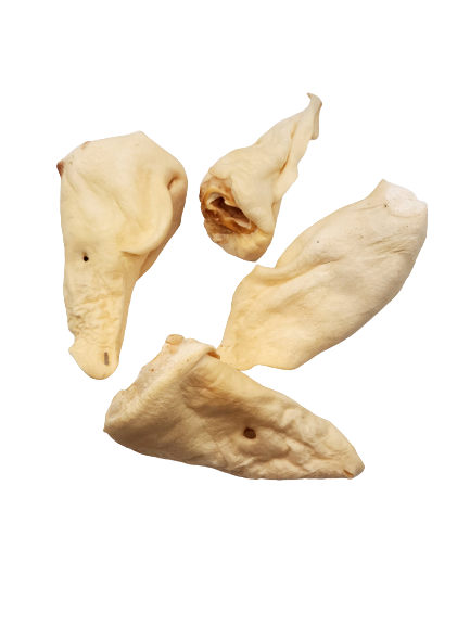 Dibo Pet Foods - Wholesale Pet Treats - Dog - Beef Ears - Dog Chews3