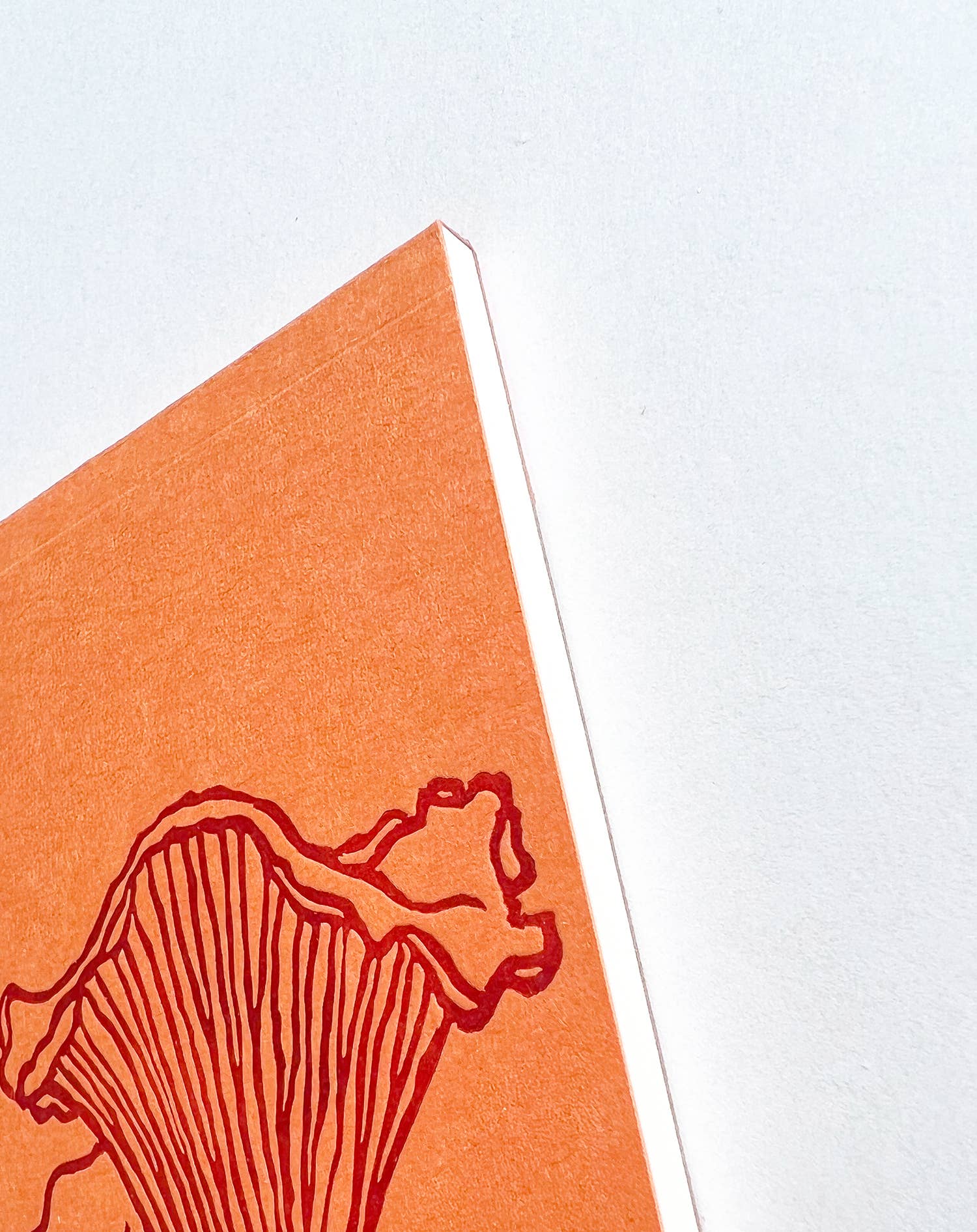 Blackbird Letterpress - Wholesale Notepad - Chanterelle Mushroom jotter notepad1