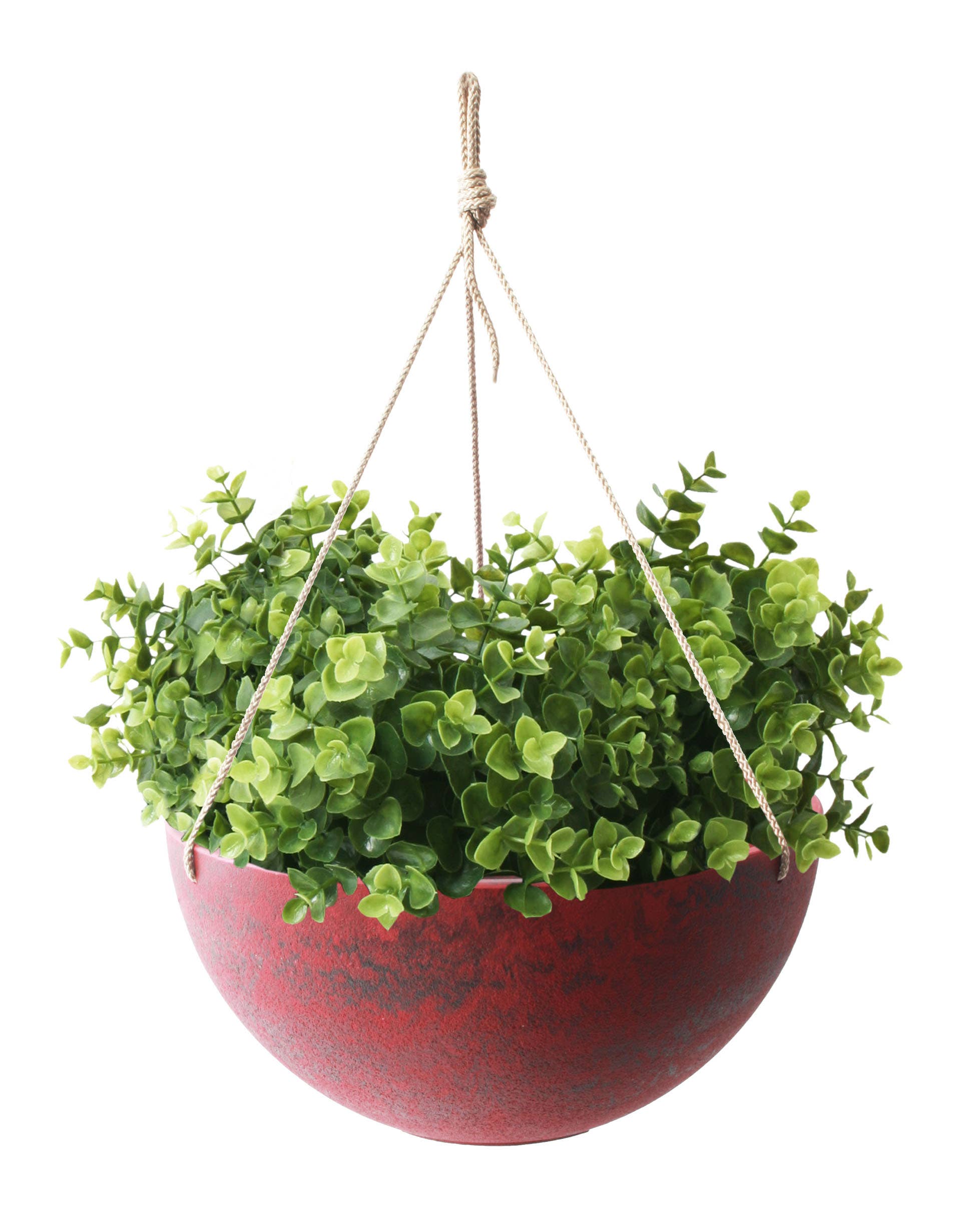 Algreen - Wholesale Hanging Planter - Algreen Acerra Hanging Planter 14"3