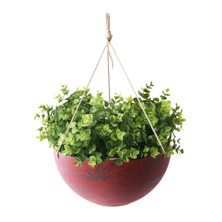 Algreen - Wholesale Hanging Planter - Algreen Acerra Hanging Planter 14"3