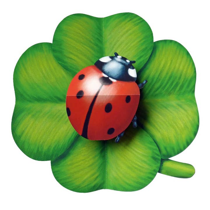 New! pop-up card ladybird for wholesale by Gollnow Paper Creations