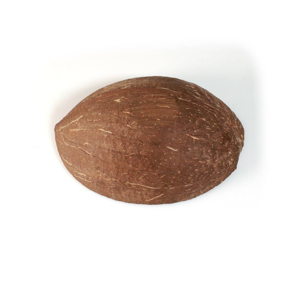 Island Soap & Candle Works - Wholesale Decorative Plate/Dish/Bowl - Sliced Coconut Shell 2