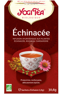 Ecohesens – wholesale Health/detox tea – Echinacea - Yogi Tea1