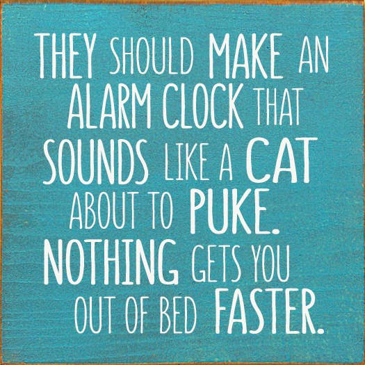 SAWDUST CITY - Wholesale Sign - They should make an alarm clock that sounds like a cat..6