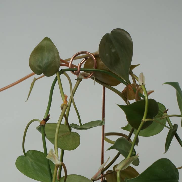 The Brass Butterfly - Wholesale Garden/Lawn Stake - Unique Plant Support Stakes (set of 4)6