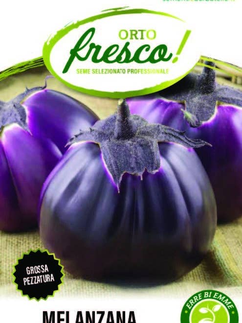 Beringela Violeta de Florença por atacado de Sementi & Barbatelle